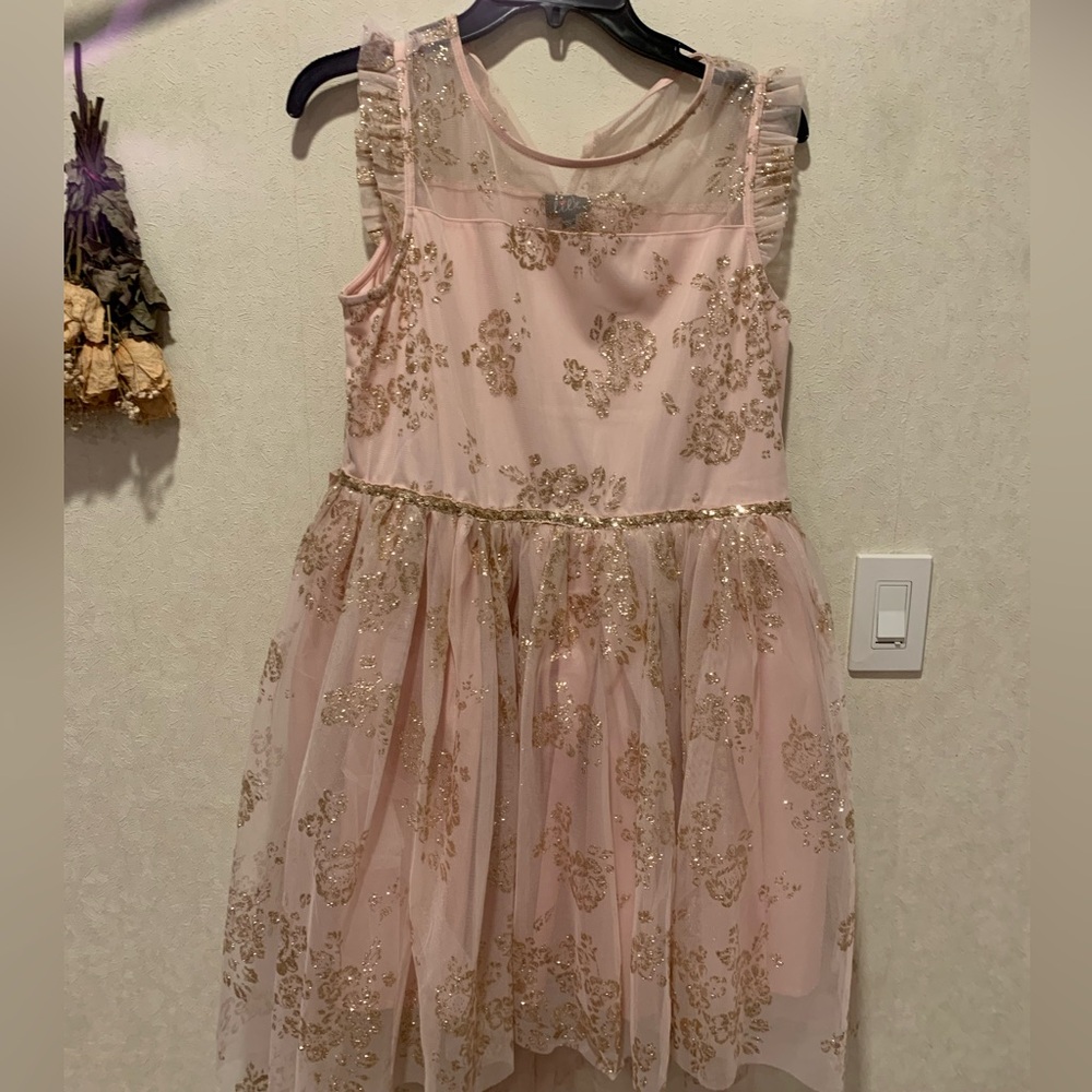 Girls Dress New, Pink and Gold.